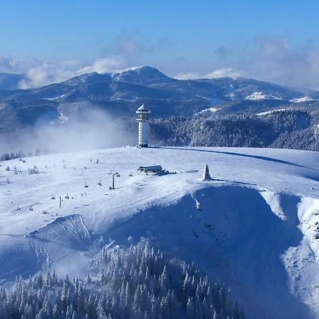 Paradies 1 Döttingen Dış mekan fotoğraf