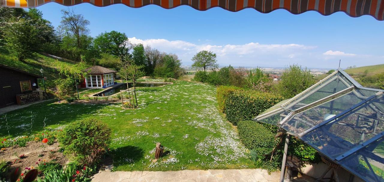 Paradies 1 Döttingen Dış mekan fotoğraf