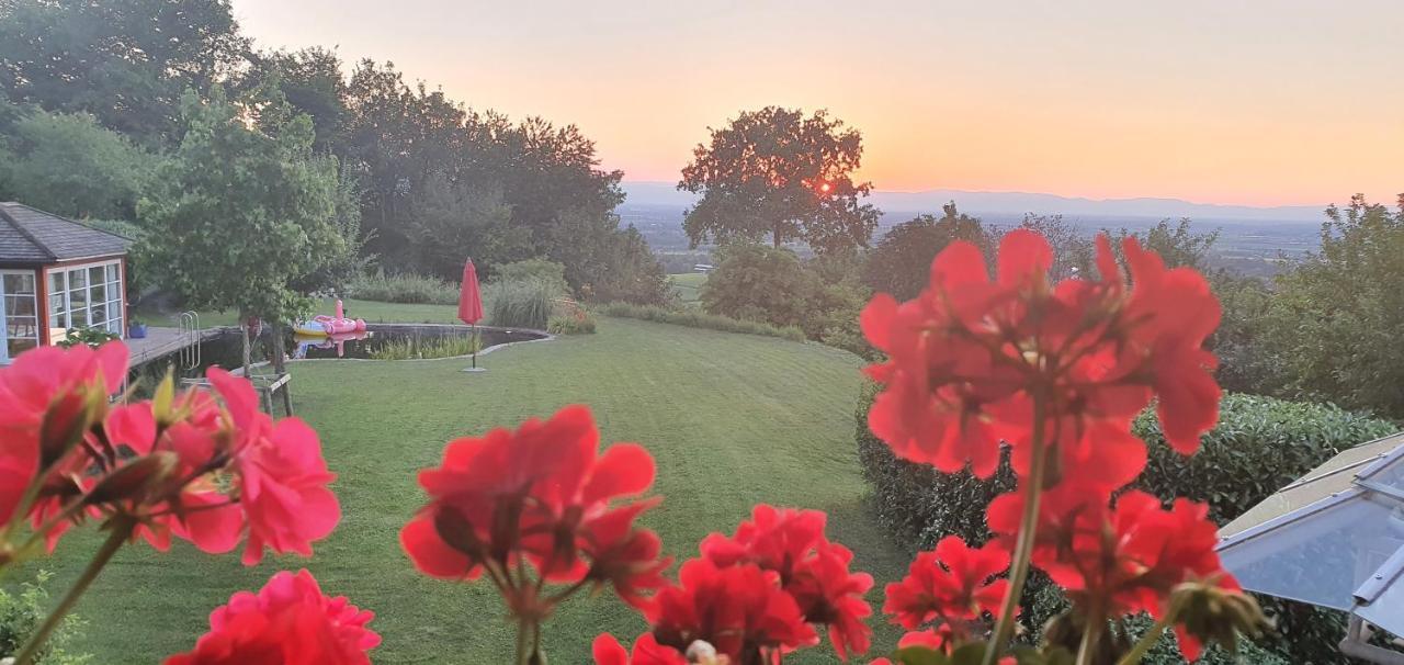 Paradies 1 Döttingen Dış mekan fotoğraf