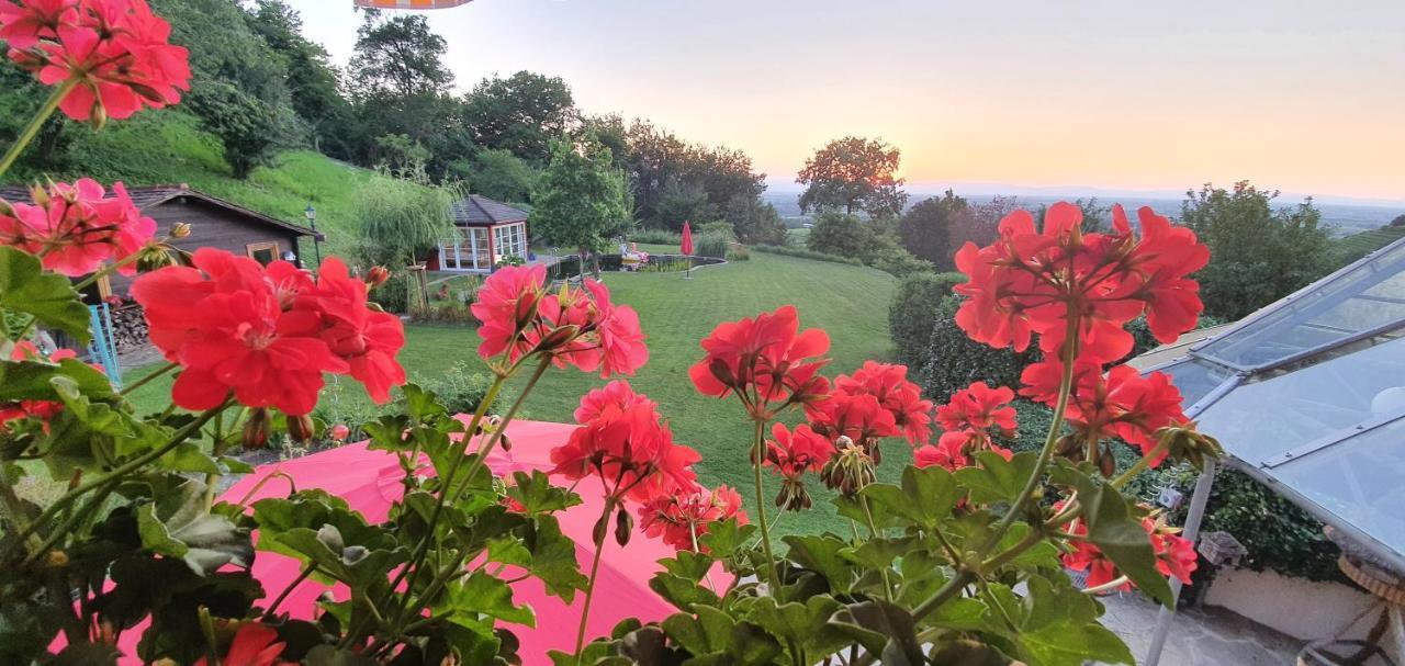Paradies 1 Döttingen Dış mekan fotoğraf