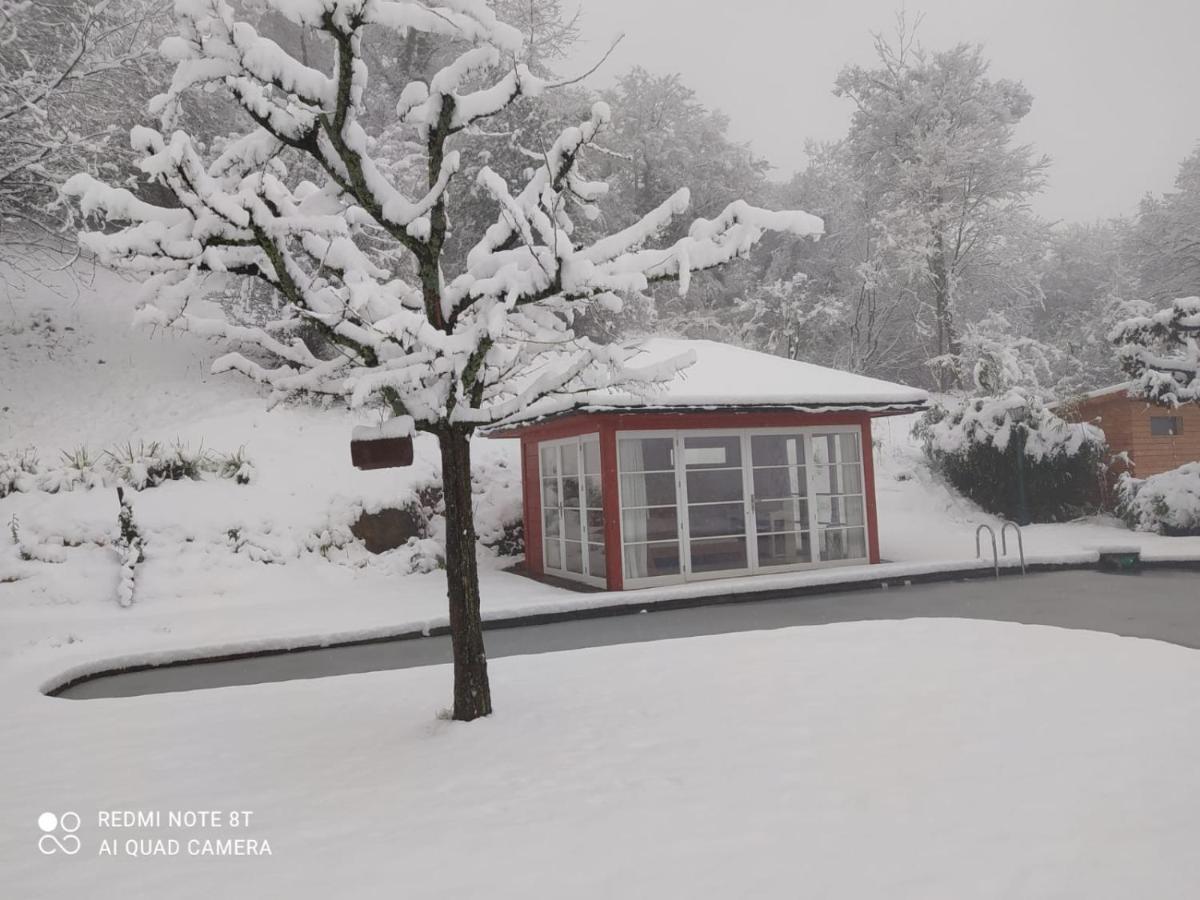 Paradies 1 Döttingen Dış mekan fotoğraf