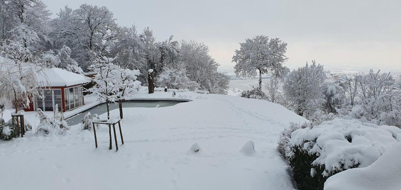 Paradies 1 Döttingen Dış mekan fotoğraf