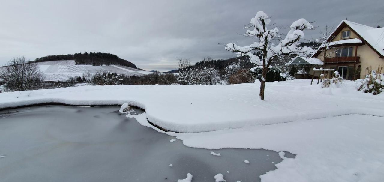 Paradies 1 Döttingen Dış mekan fotoğraf