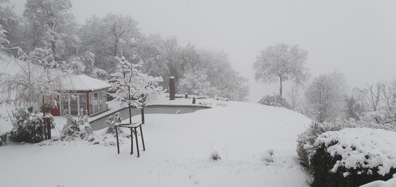 Paradies 1 Döttingen Dış mekan fotoğraf