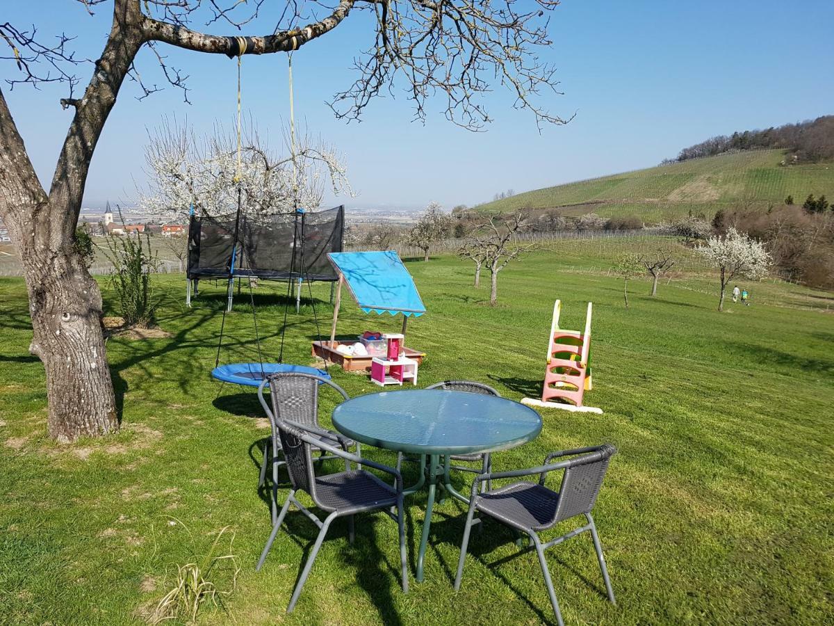 Paradies 1 Döttingen Dış mekan fotoğraf