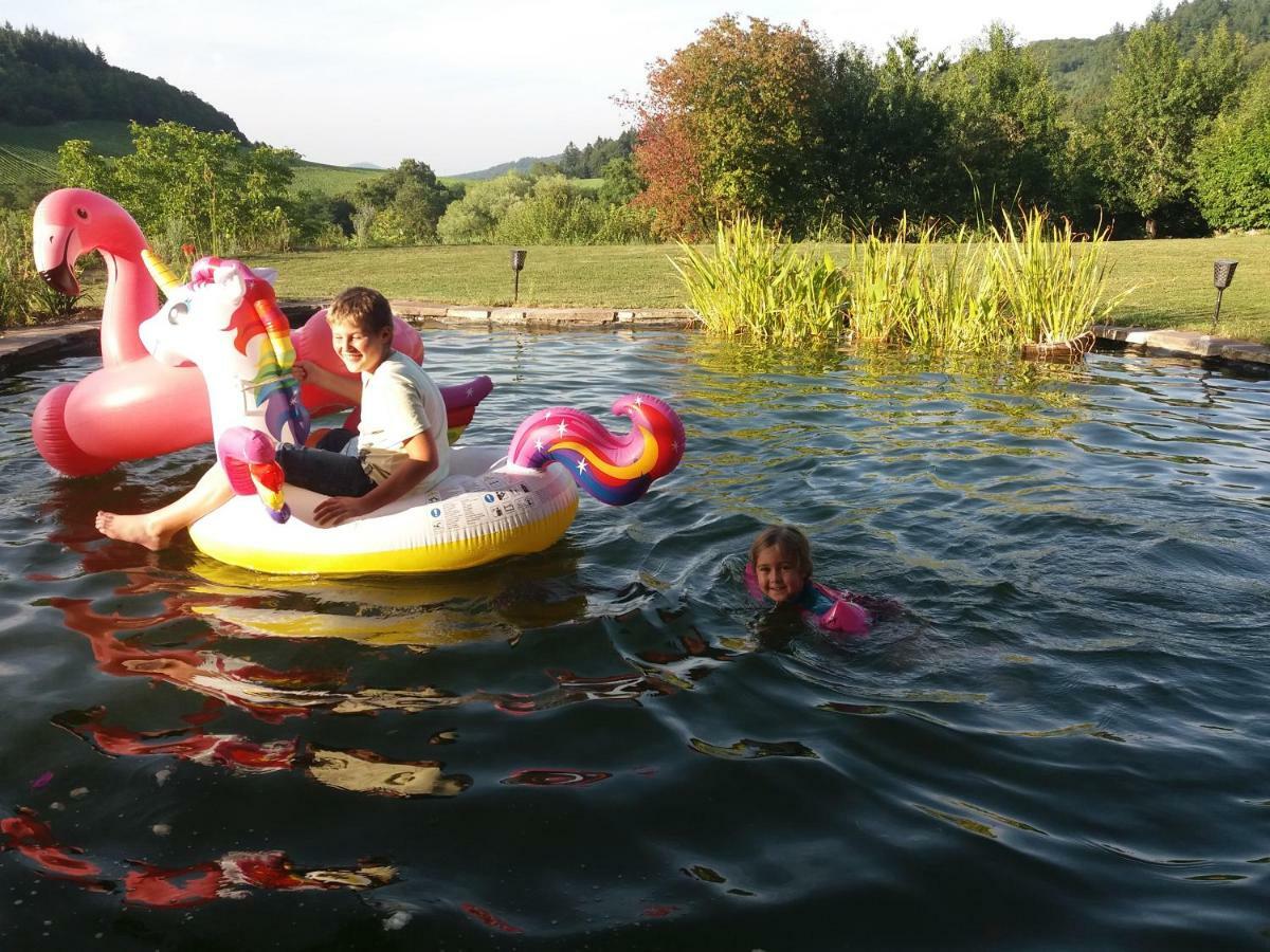 Paradies 1 Döttingen Dış mekan fotoğraf